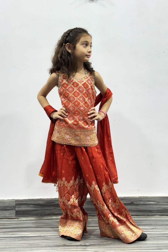 Rust Color Party Wear Designer Girls Wear Outfit