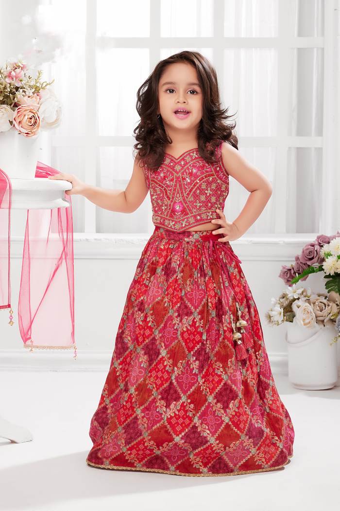 Rani Color Party Wear Designer Crop Top